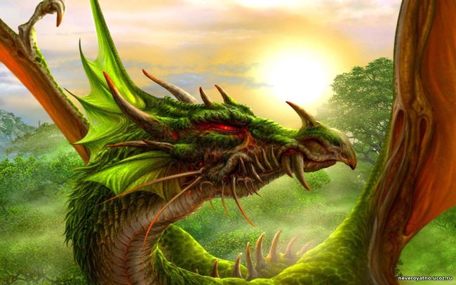 Как устроен китайский календарь, и почему 2024-й — год Зеленого Деревянного Дракона