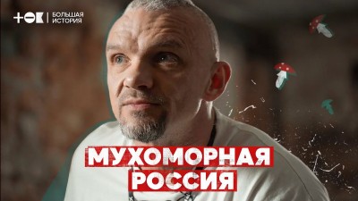 Мухоморная лихорадка. Почему в России стало модно есть ядовитые грибы