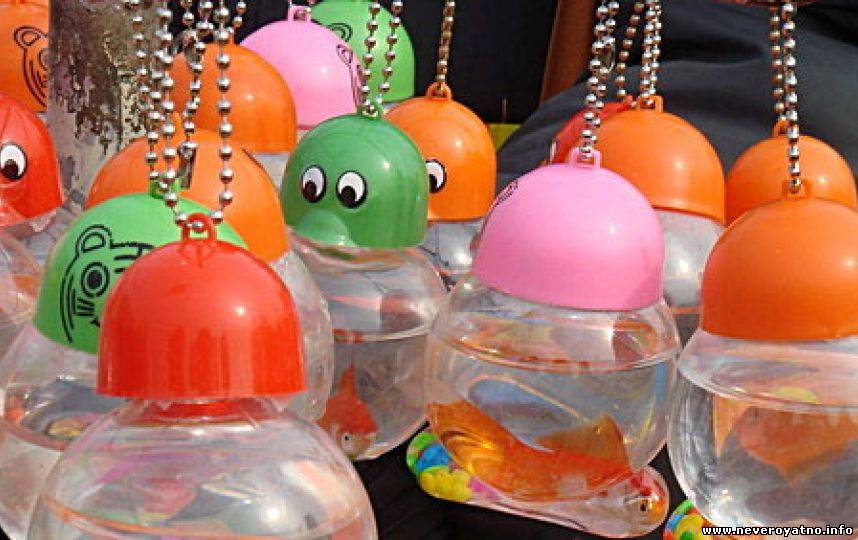 Животные продаются в качестве брелоков для ключей