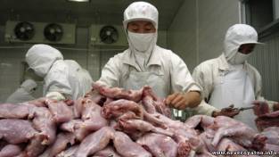 Под видом говядины продавалось мясо крыс и лис