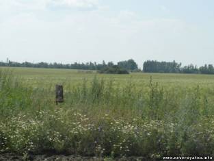 Кто-то в поле стал ходить...