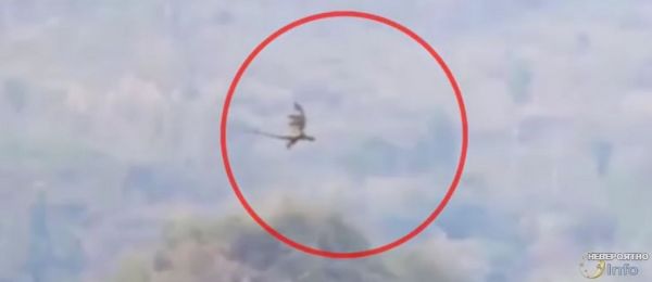 В китайских горах сняли на видео живого дракона