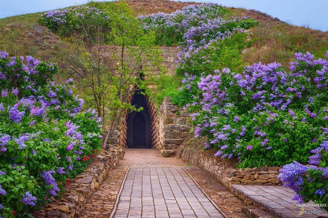 Тайны Царского кургана в Крыму