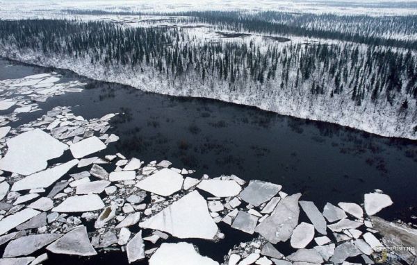 Археологи нашли следы чуди белоглазой