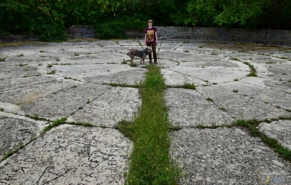 Конденсатор Зибольда в Крыму