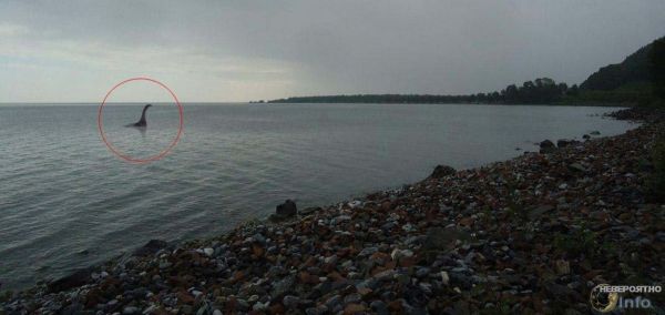 В вожегодском озере может обитать подводное чудовище