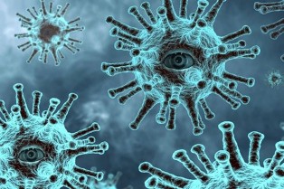Убедительные доказательства того, что SARS-CoV-2 был создан человеком. Часть 3