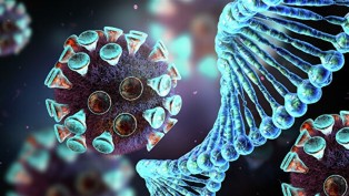 Убедительные доказательства того, что SARS-CoV-2 был создан человеком. Часть 2
