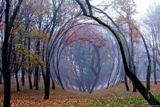 Не самые лучшие места или кое-что о геопатогенных зонах.