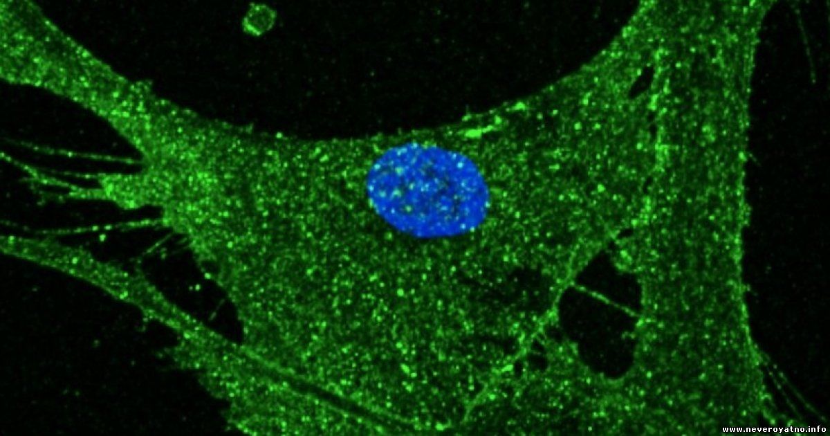 Ученым удалось сделать кожу человека моложе на 30 лет: что дальше