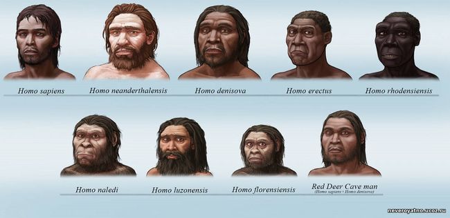 Когда на самом деле впервые появились Homo Sapiens