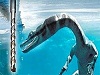 Скрытый мир Антарктиды